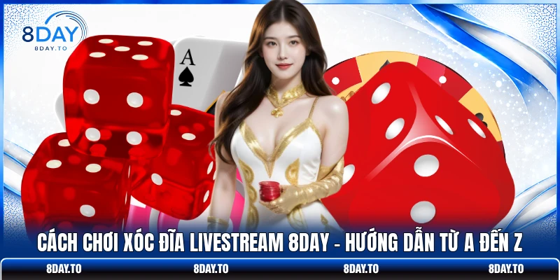 Cách Chơi Xóc Đĩa Livestream 8DAY - Hướng Dẫn Từ A Đến Z